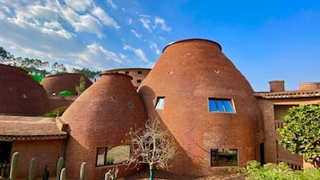 Un edificio con estructuras de ladrillo cónicas distintivas, rodeado de cactus y helechos.