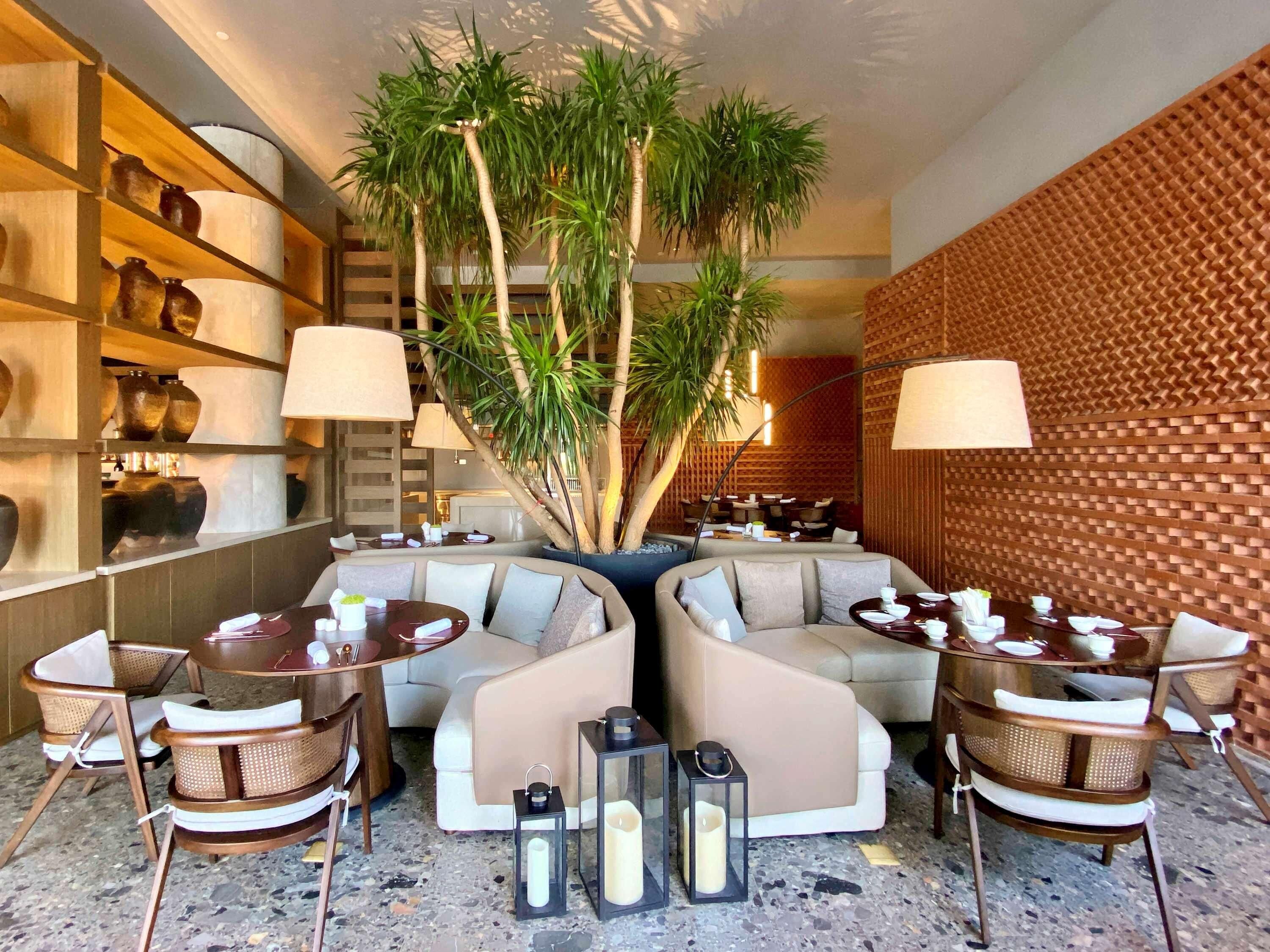 Un interior moderno con una zona de estar, una planta y un papel tapiz estampado.