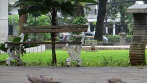 Un camí pavimentat amb bancs ornamentals i una estàtua.