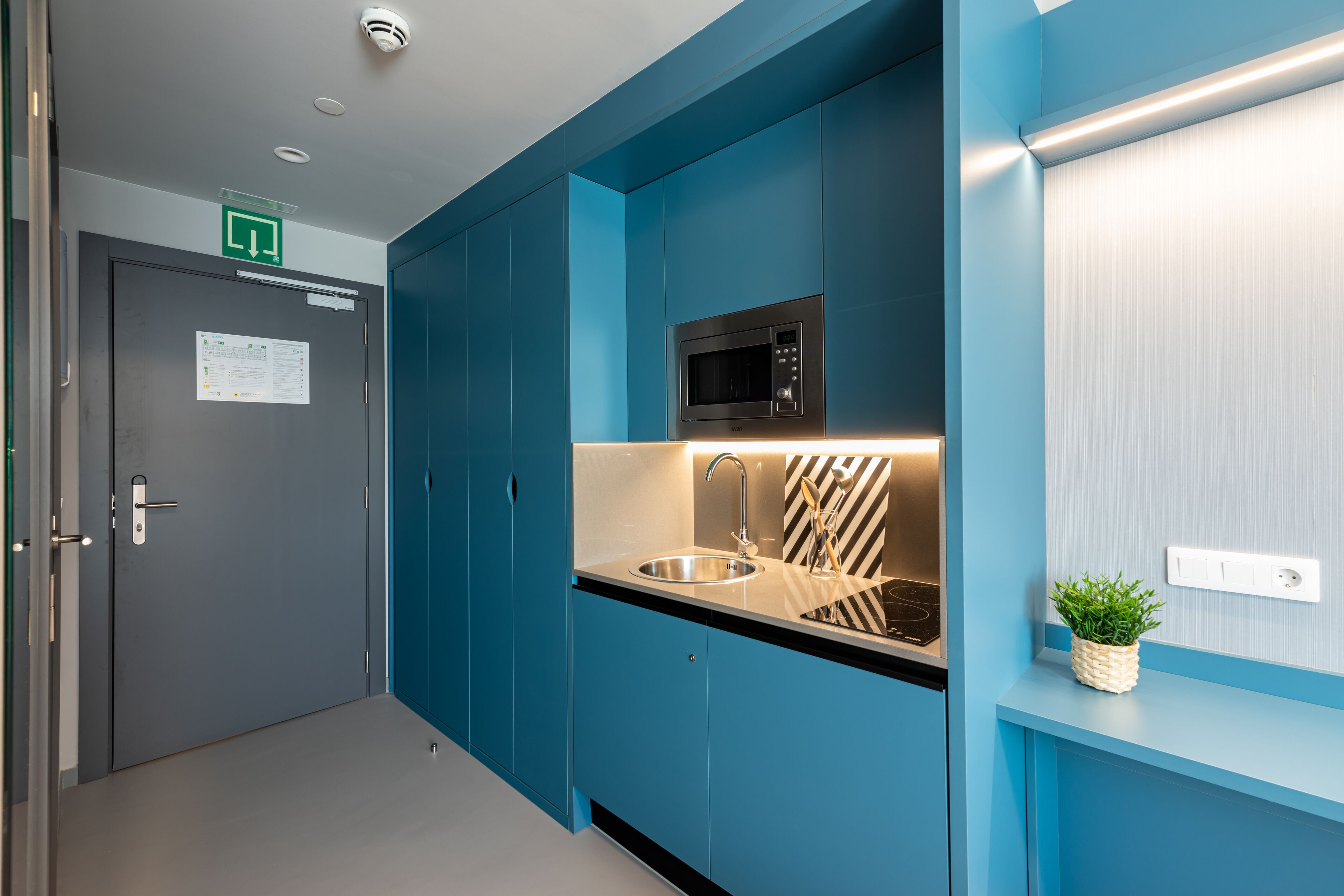 Een moderne keuken met blauwe kastjes, een roestvrijstalen spoelbak, een magnetron en een kleine potplant.