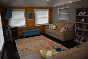 Smart TV, fireplace, DVD player, books