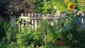 A garden with a variety of plants and flowers, a wooden fence, and a stone wall. - Stylishly furnished apartment in Dresden including bicycles, close to the center (Dresden)