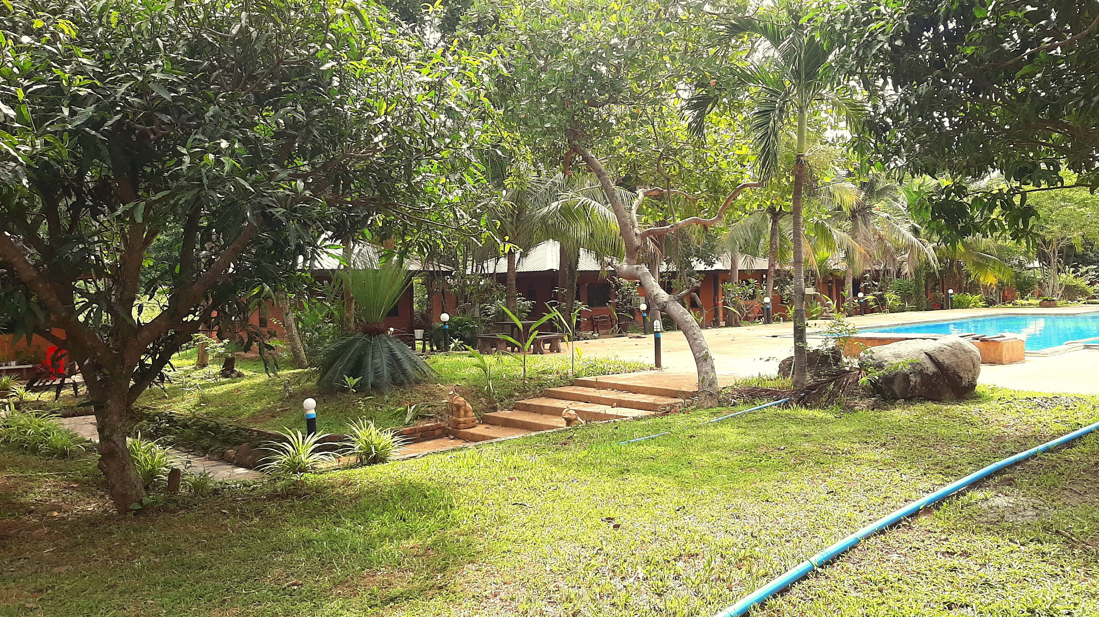Un exuberante jardín con piscina, rodeado de diversos árboles y plantas.