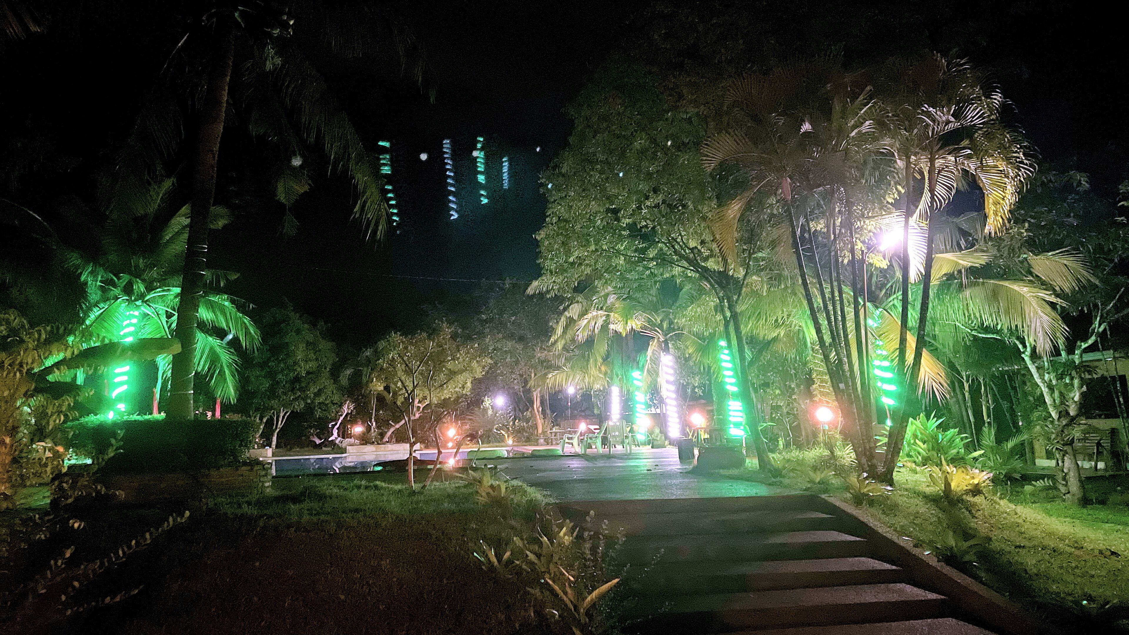 Hồ bơi