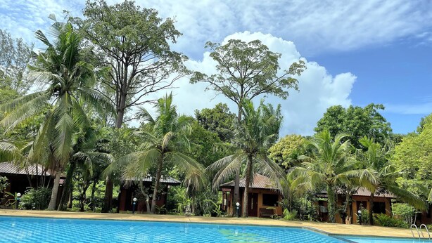 A poolside view with a clear blue sky, palm trees, and wooden huts.