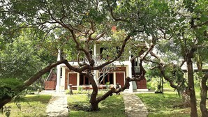 A traditional building with a stone pathway leading to a wooden door, surrounded by lush greenery.