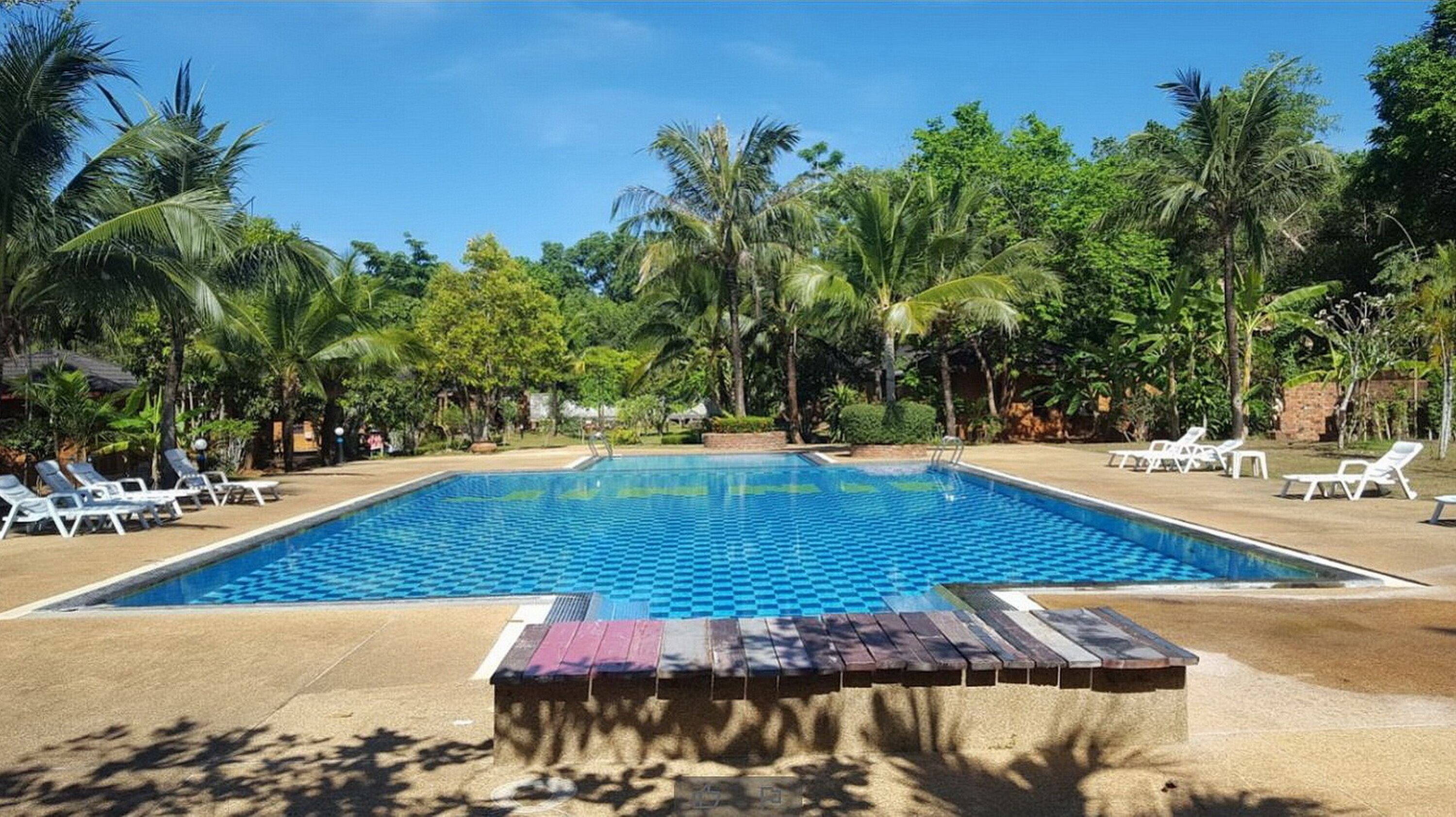 A rectangular swimming pool with a checkered pattern, surrounded by palm trees and lounge chairs.
