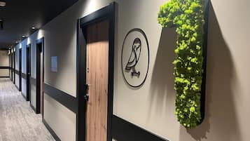 Un pasillo con puertas, una puerta de madera, una ilustración de un pájaro colgada en la pared y una planta verde vertical.