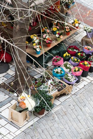 Ett urval av krukväxter och blommor, arrangerade på ett kaklat golv, troligen i ett offentligt eller kommersiellt utrymme.