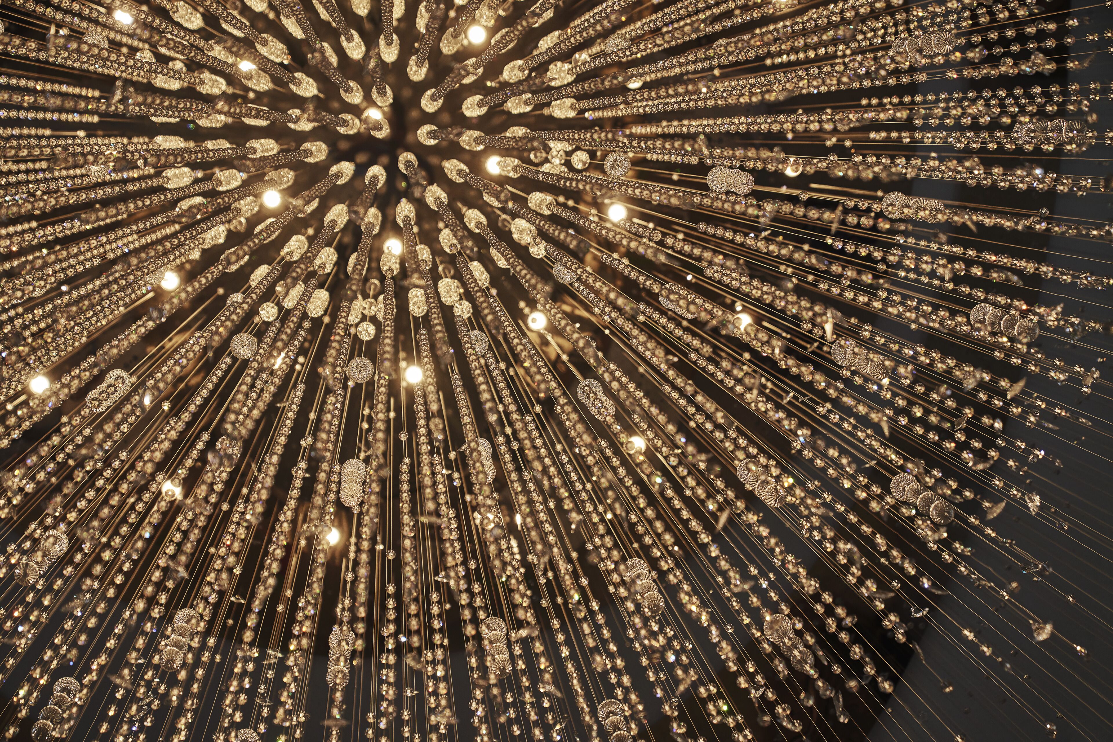 Foto - Four Seasons New Orleans