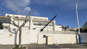 A building with a white facade, a tree in front, and a street lamp to the right.