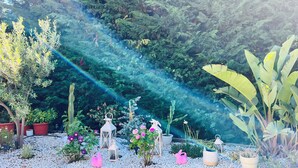 Een tuin met verschillende planten, een gazon en decoratieve objecten zoals lantaarns en een roze konijnenbeeldje.