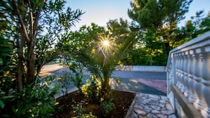 A garden with a palm tree, a stone pathway, and a metal fence. - Apartment with garden near the beach (Seline)