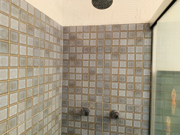 Shower, hair dryer