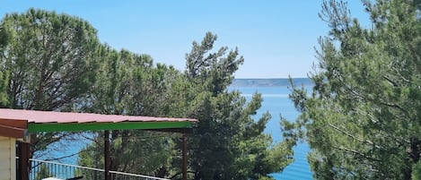 A terrace with a view of the sea, surrounded by trees.