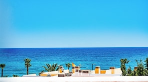 Property grounds - On the beach (Ventanicas-el Cantal)