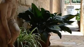 Shared Dormitory, 2 Bedrooms, Smoking, Terrace | Exterior