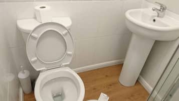 Zimmer, 1 Schlafzimmer, Stadtblick | Badezimmer
