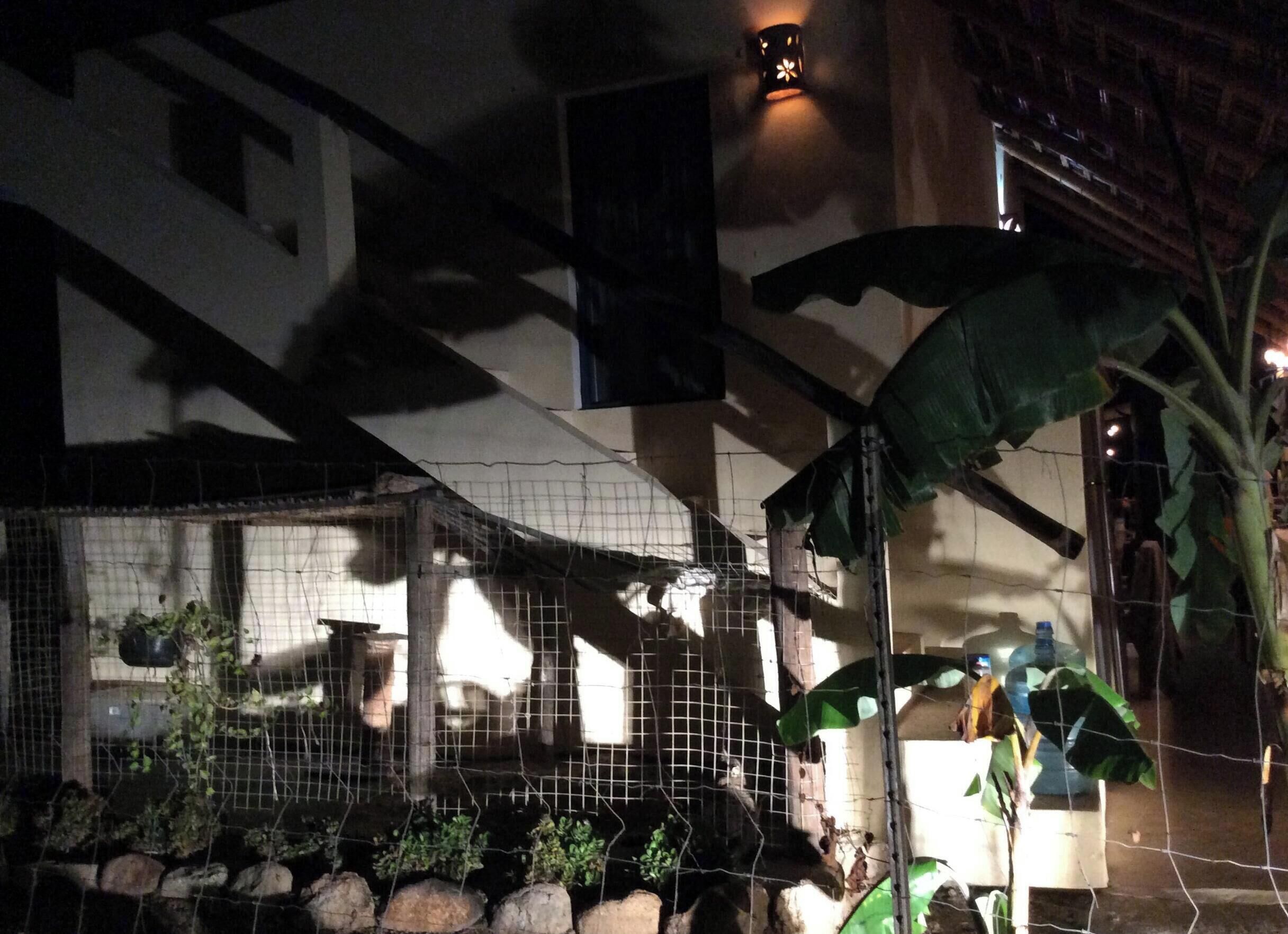 Vista nocturna de un edificio con cerramiento de malla metálica que contiene plantas y rocas.