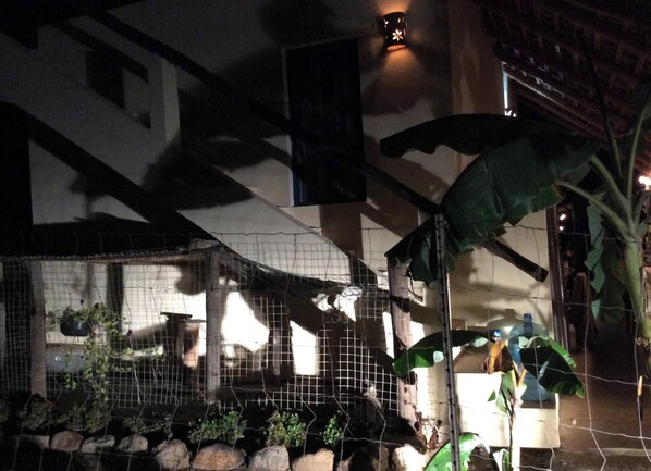 Vista nocturna de un edificio con cerramiento de malla metálica que contiene plantas y rocas.