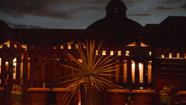 A building with a large, illuminated plant in the foreground.