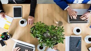 A group of people around a wooden table with laptops, coffee cups, and a potted plant. - Room-golden Tulip Port Harcourt-guest Ro (Port Harcourt)