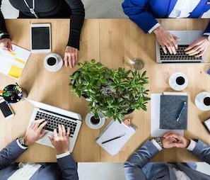 A group of people around a wooden table with laptops, coffee cups, and a potted plant.