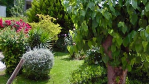 Garden - The Superheroes Apartment (Pylaia-Chortiatis)