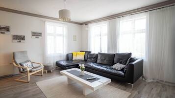 House, 4 Bedrooms, Terrace | Living area | TV, fireplace