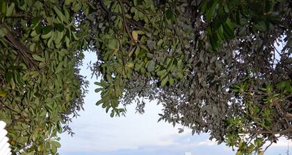 Welcome to Apartmen Palatisa