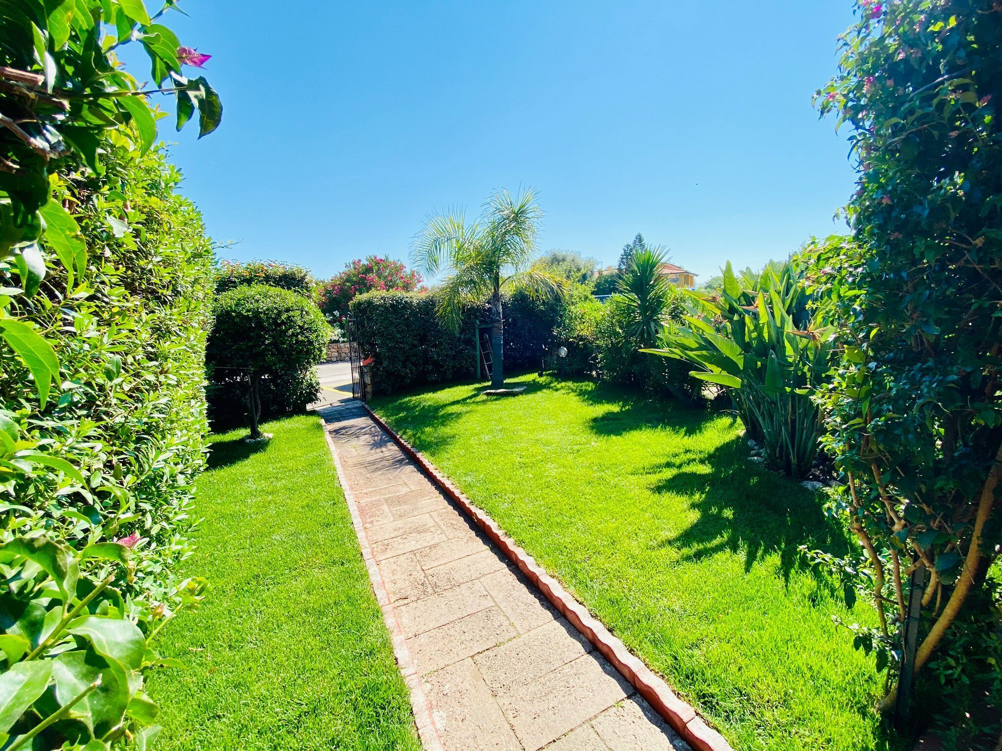 Ein gepflegter Gartenweg, der zu einem Haus führt.