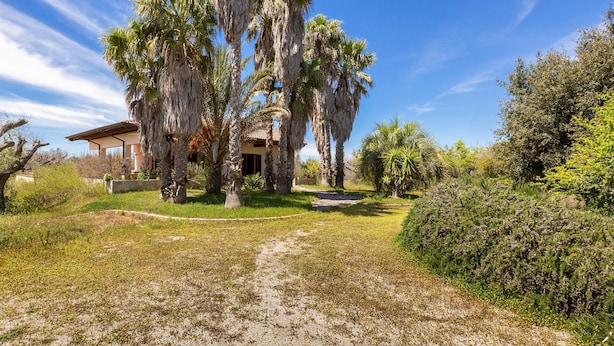 A house with a well-maintained lawn, several palm trees, and a clear blue sky. - 1905 Villa Artas (Tuglie)