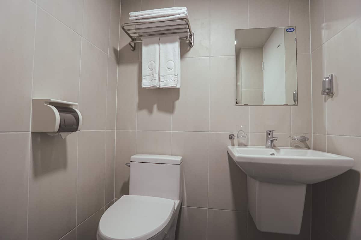 shower, free toiletries, hair dryer, slippers