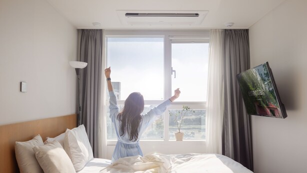 A hotel room with a large bed, a potted plant on the windowsill, and a TV mounted on the wall.