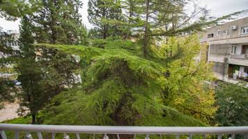 Luxury Condo | Balcony view