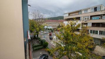 Luxury Condo | Balcony view