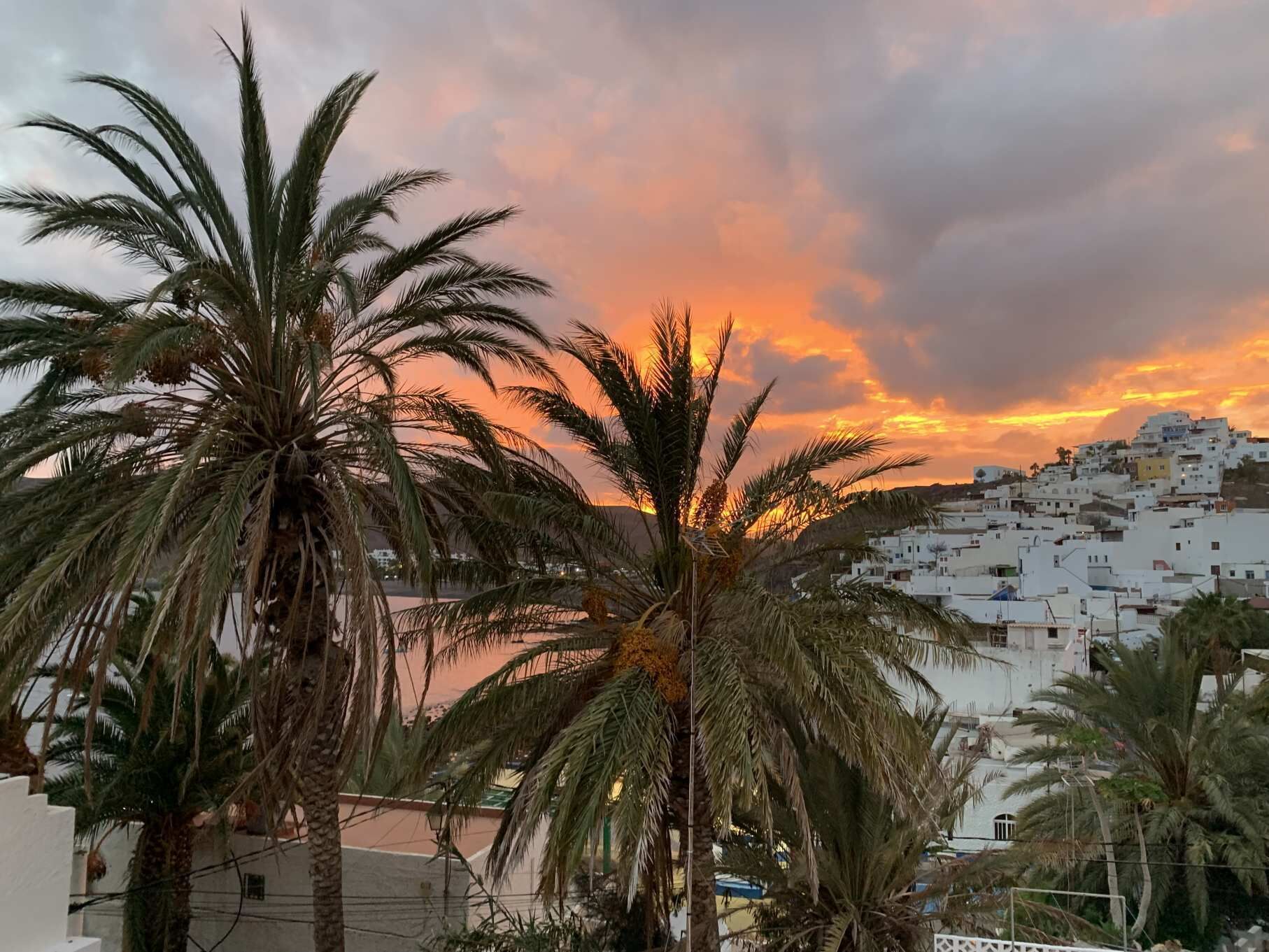 Une ville côtière aux bâtiments blancs, bordée de palmiers, au coucher du soleil.