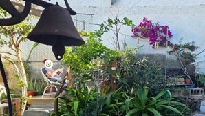 Property grounds - Ocean View Apartment Casa Las Playitas – Terrace – 1 Minute to the Beach (Las Playitas)