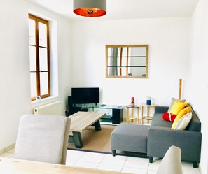 Televisión, reproductor de DVD y libros 