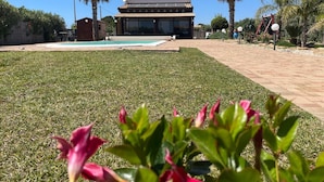 Una casa moderna con piscina, rodeada de césped cuidado y palmeras.