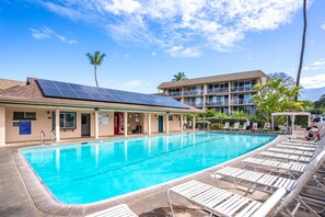 Pool - Kihei Kai Nani #12-337 Updated Expansive Outdoor Living, Near Beach, AC! (Kihei)