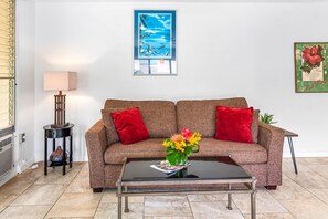 Una televisión, un reproductor de DVD, libros, una videoteca