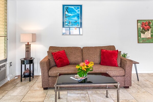 TV, DVD player, books, video library