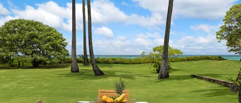 Servei de restauració a l'aire lliure