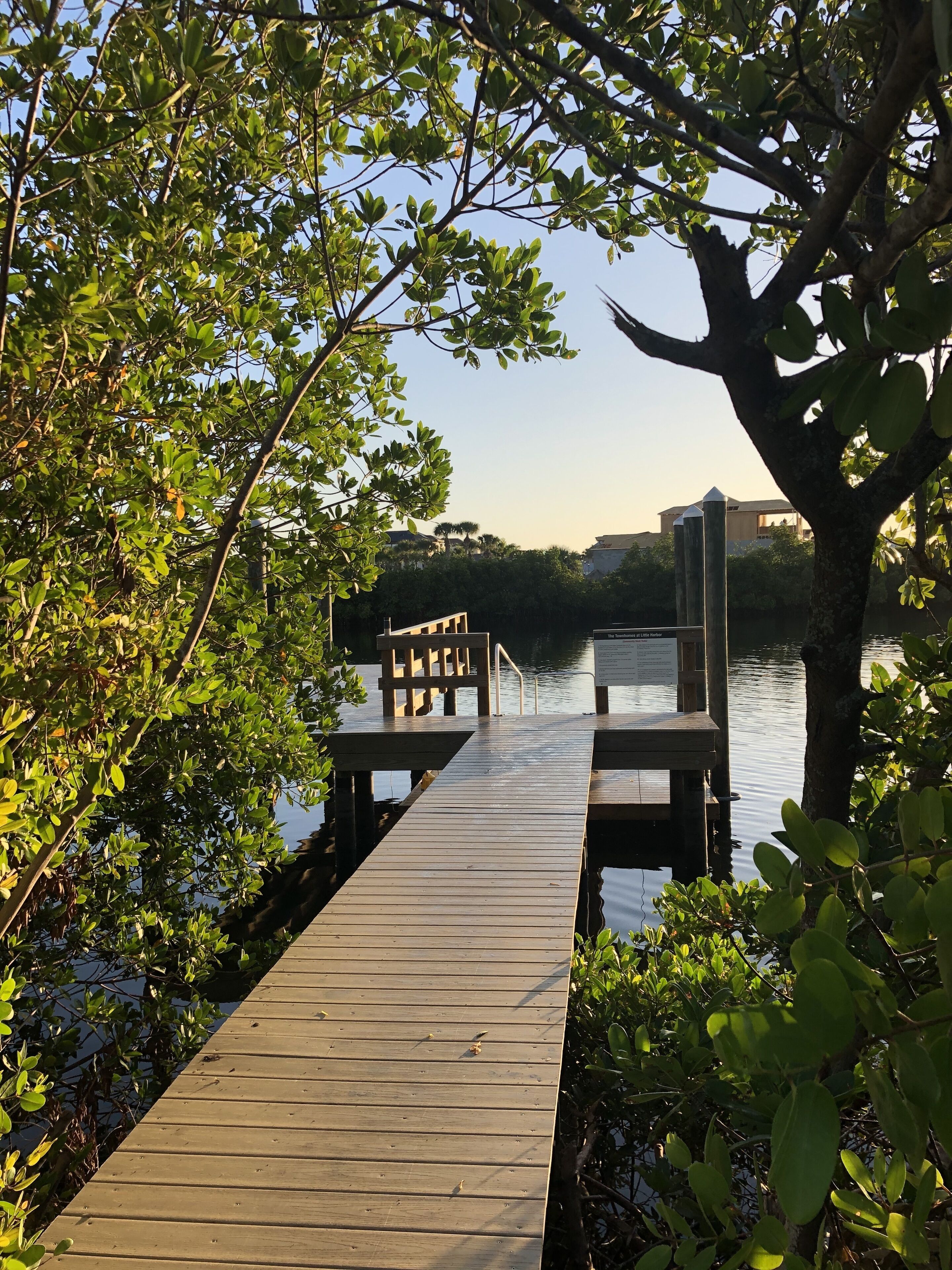 A wooden dock extending into calm water, surrounded by lush greenery and trees.