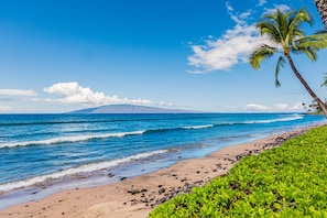 Plage à proximité