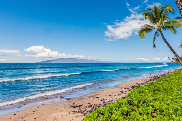 Playa en los alrededores