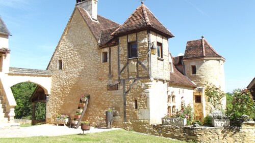 Gîte du haut or Orchidée