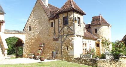 Gîte du haut or Orchidée