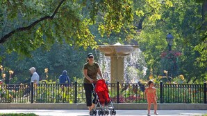 Property grounds - Guild #2 | Gold Coast Mag Mile Best Location (Chicago)